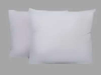 Cushion