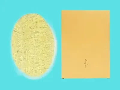 Loofa & Sponges in Brown Box